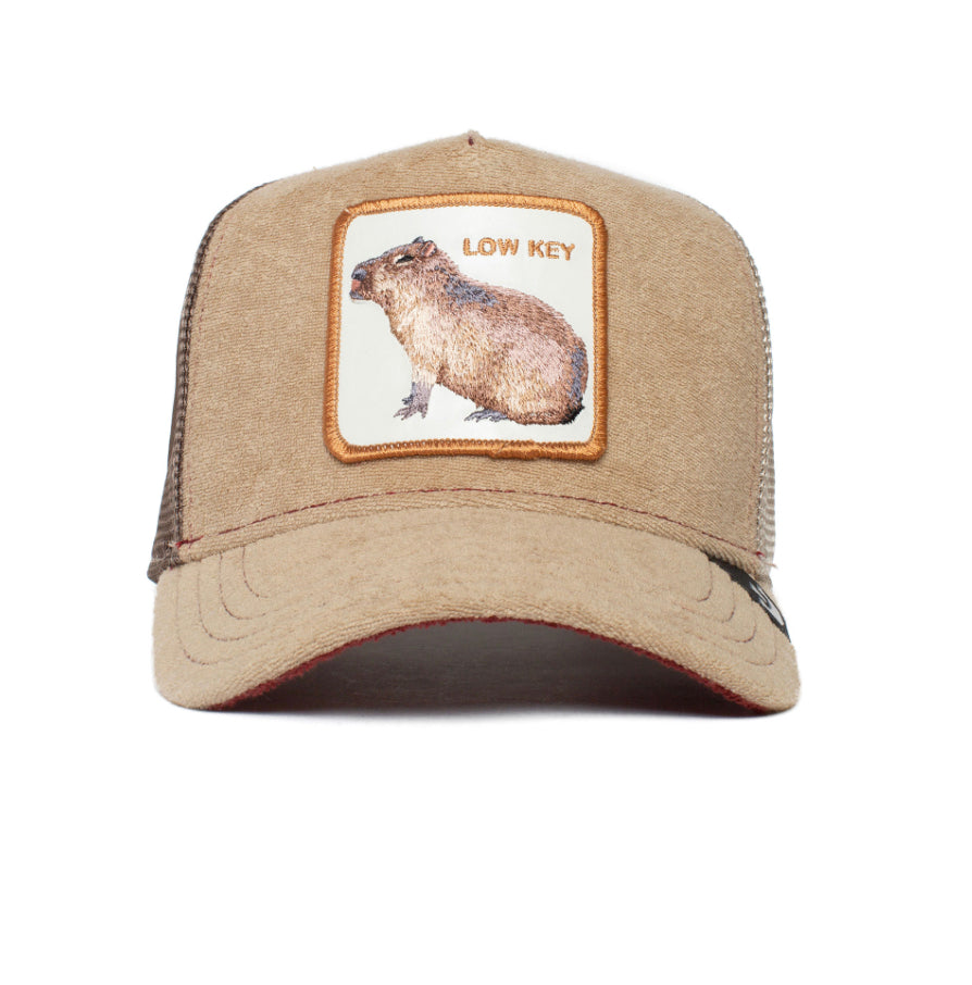 "Low Key" Beaver