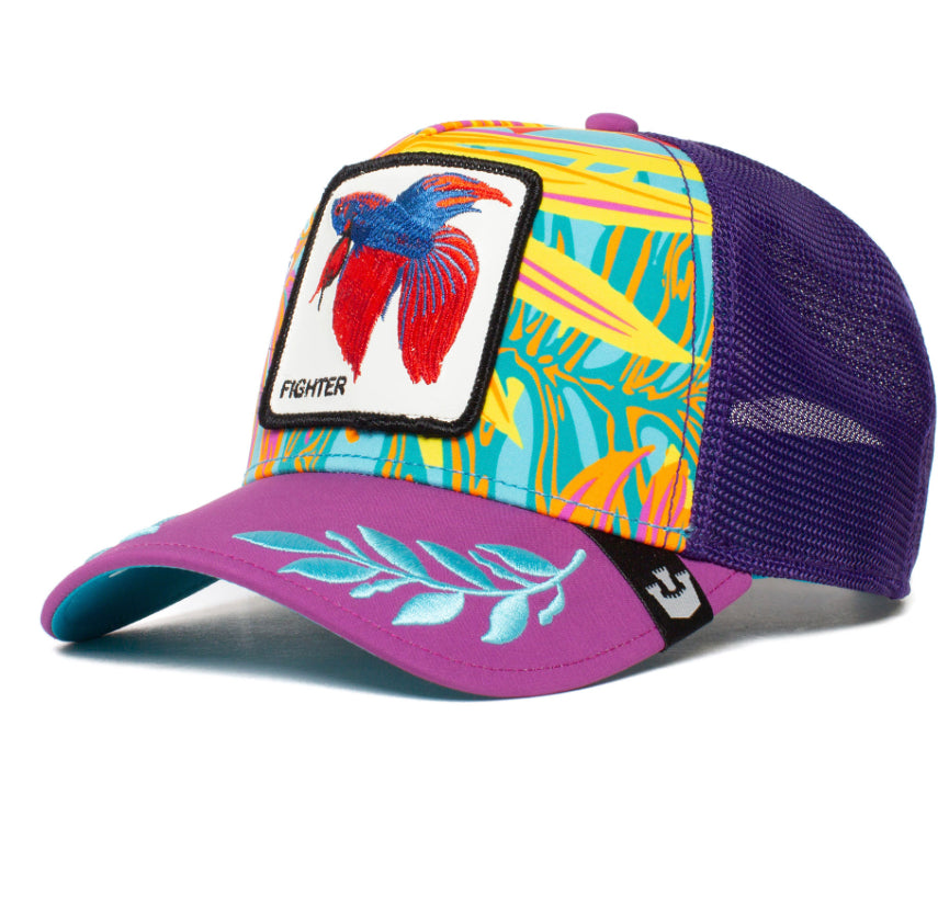 "Fighter" Exclusuive