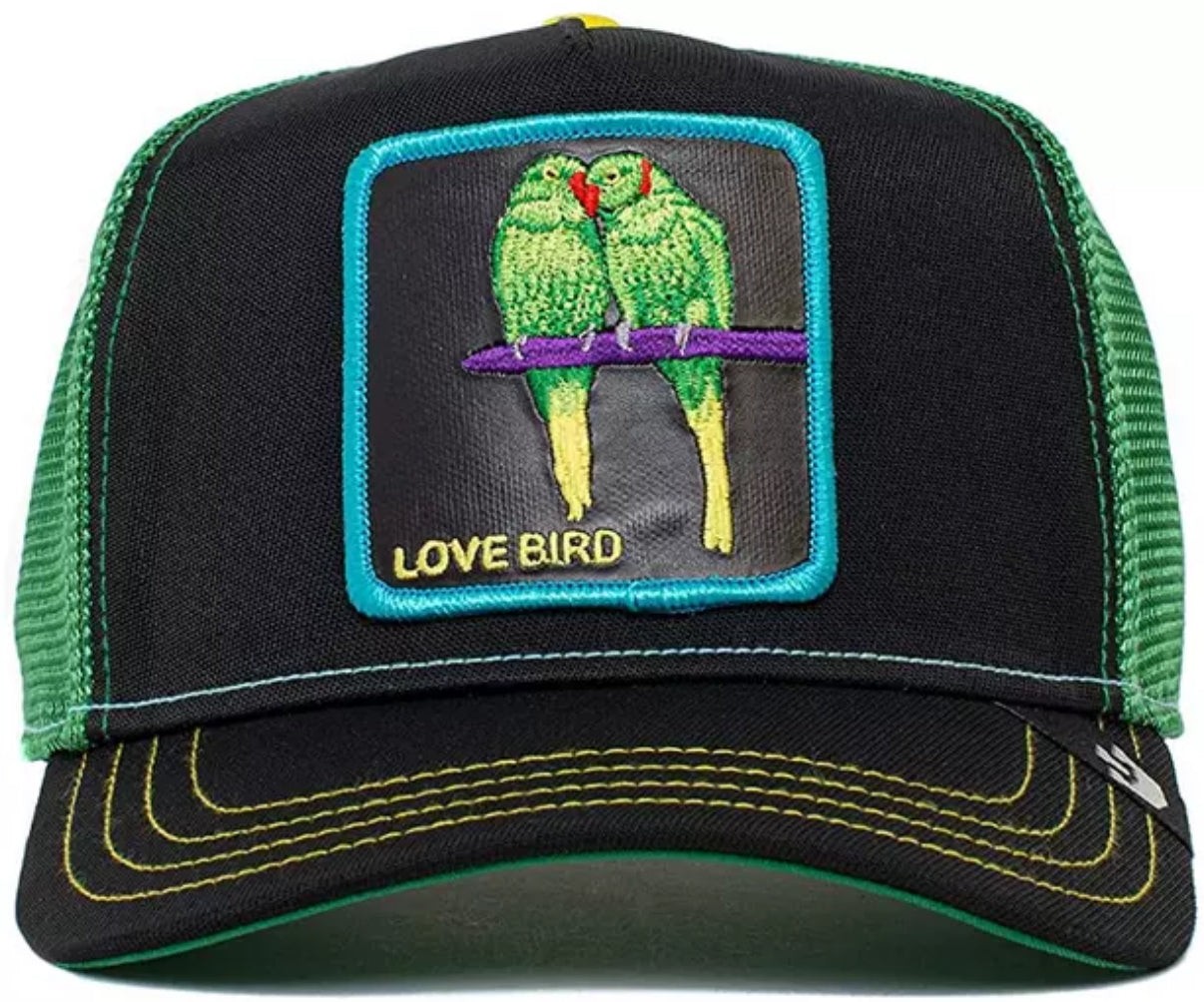 “Love Bird” EXCLUSIVE